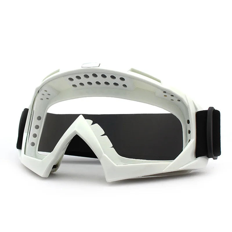 VineTerce ski goggles